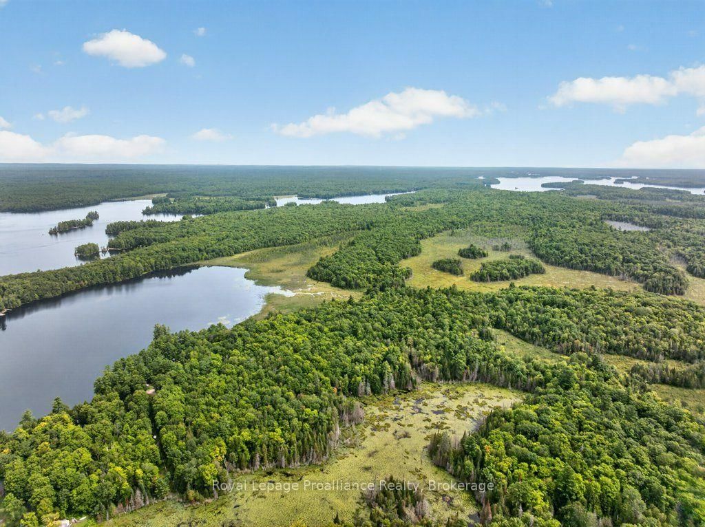 1693 Gull Lake Road • Arden, ON photo 39