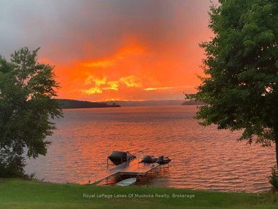 264 Boy Scouts Road • Armour, ON photo 8