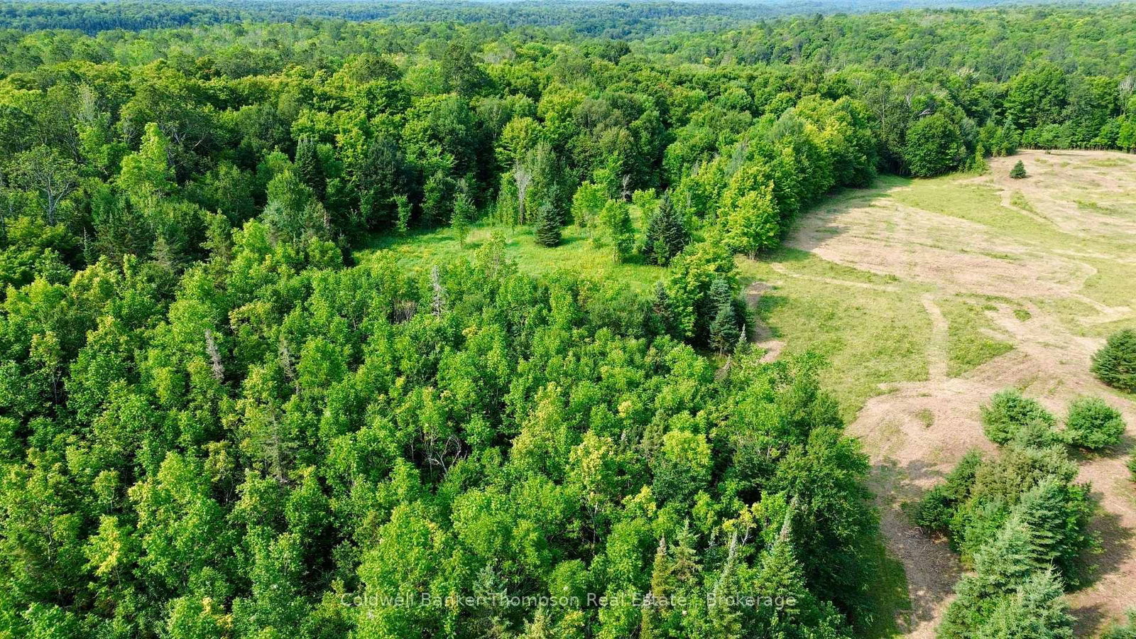 12899 522 Highway W • Parry Sound Remote Area, ON photo 10