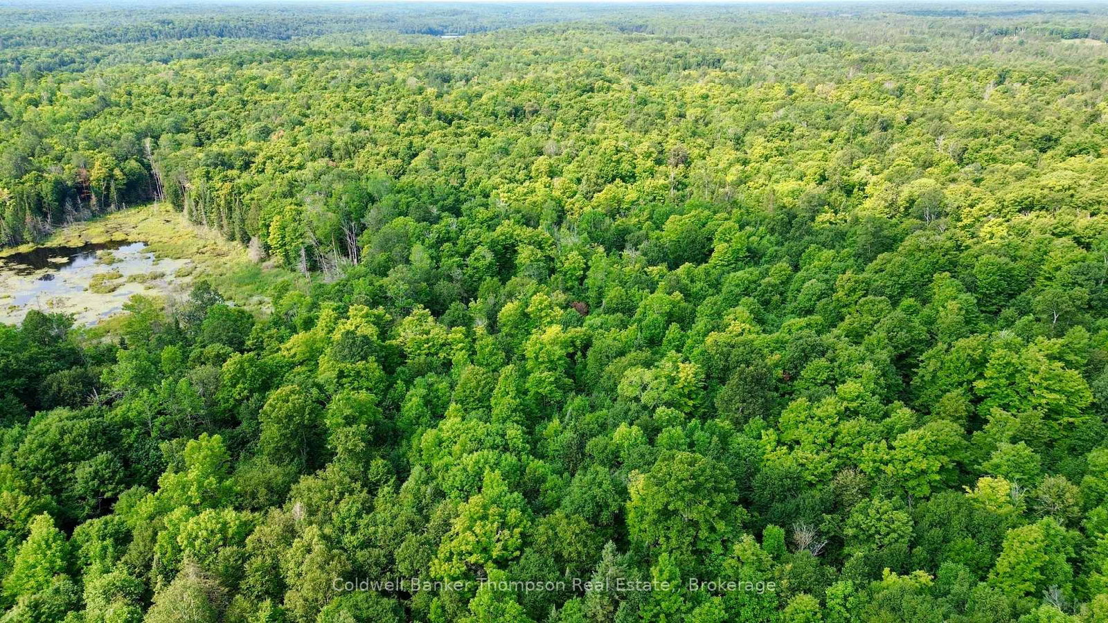 12899 522 Highway W • Parry Sound Remote Area, ON photo 17