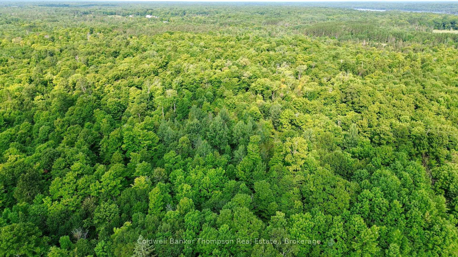 12899 522 Highway W • Parry Sound Remote Area, ON photo 19