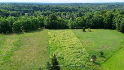 12899 522 Highway W • Parry Sound Remote Area, ON photo 2