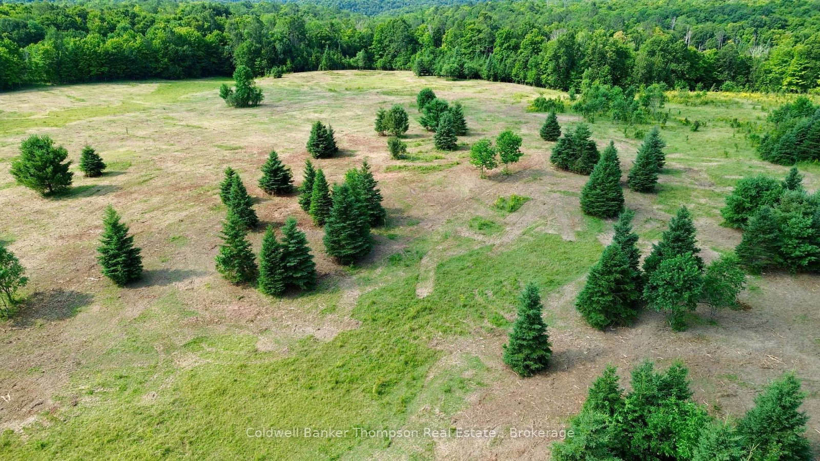 12899 522 Highway W • Parry Sound Remote Area, ON photo 21