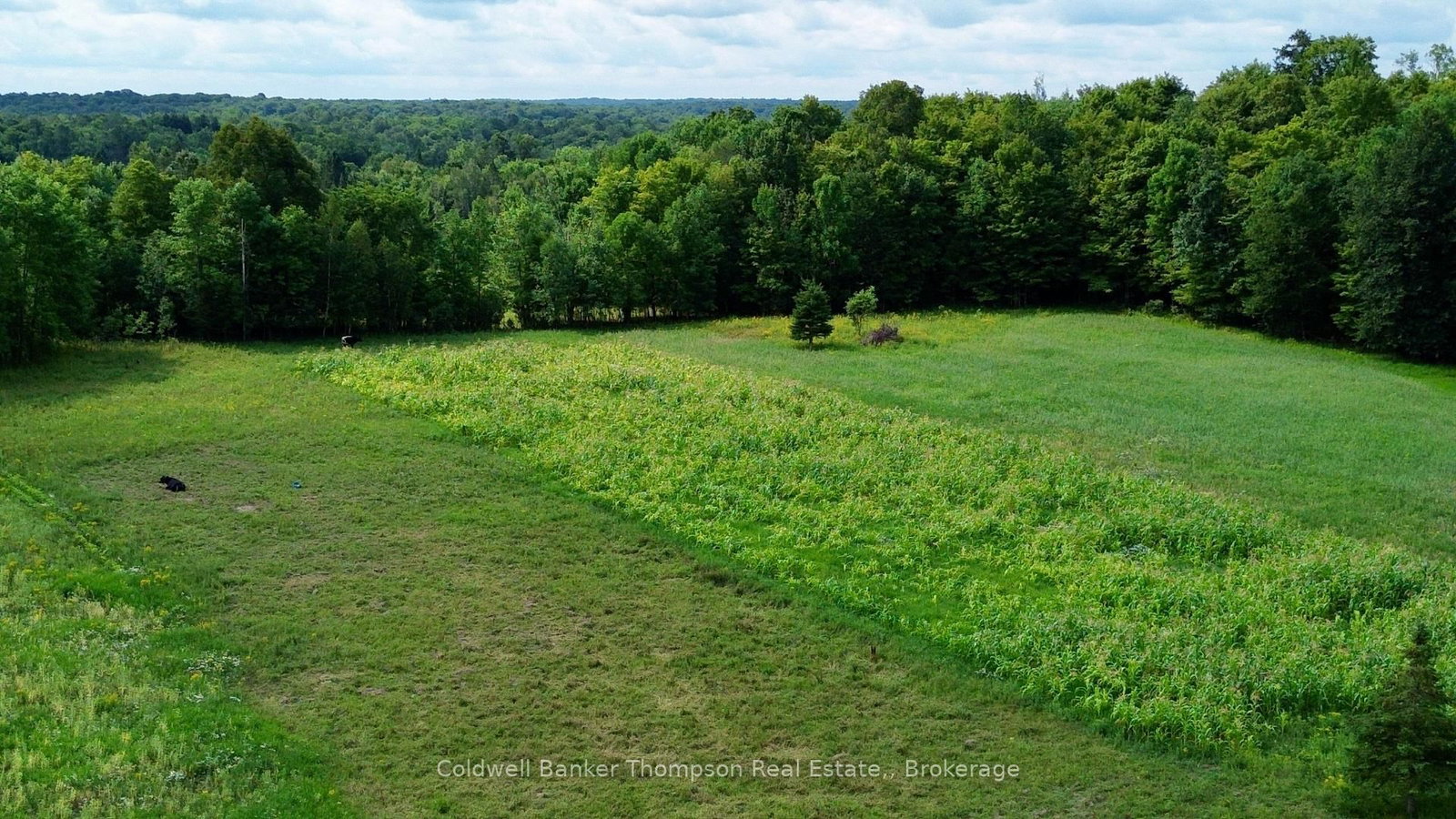 12899 522 Highway W • Parry Sound Remote Area, ON photo 23