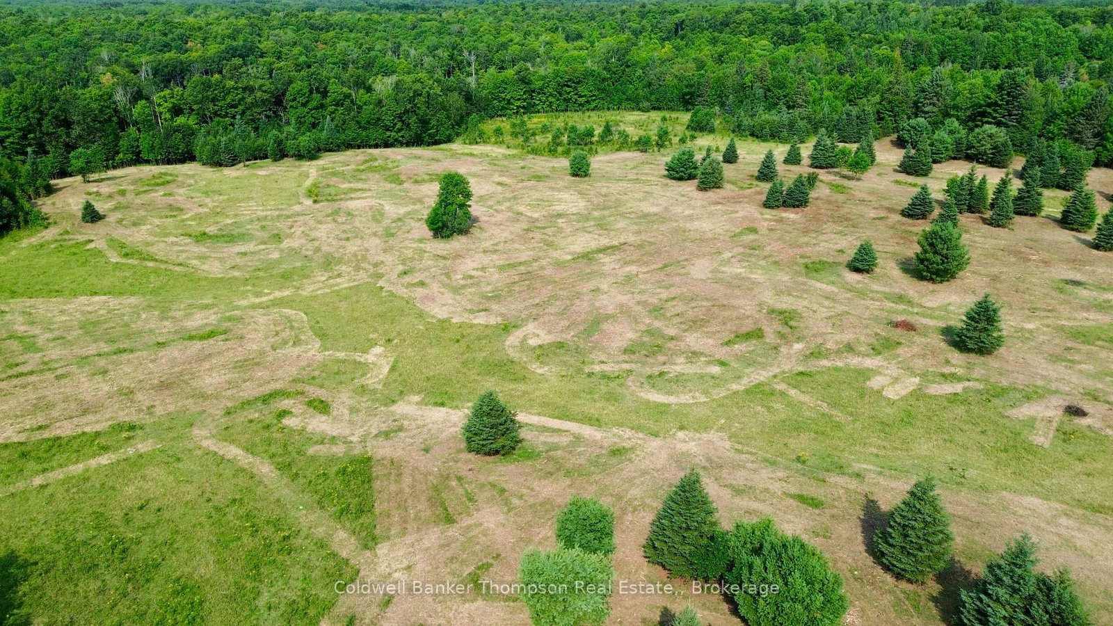 12899 522 Highway W • Parry Sound Remote Area, ON photo 8