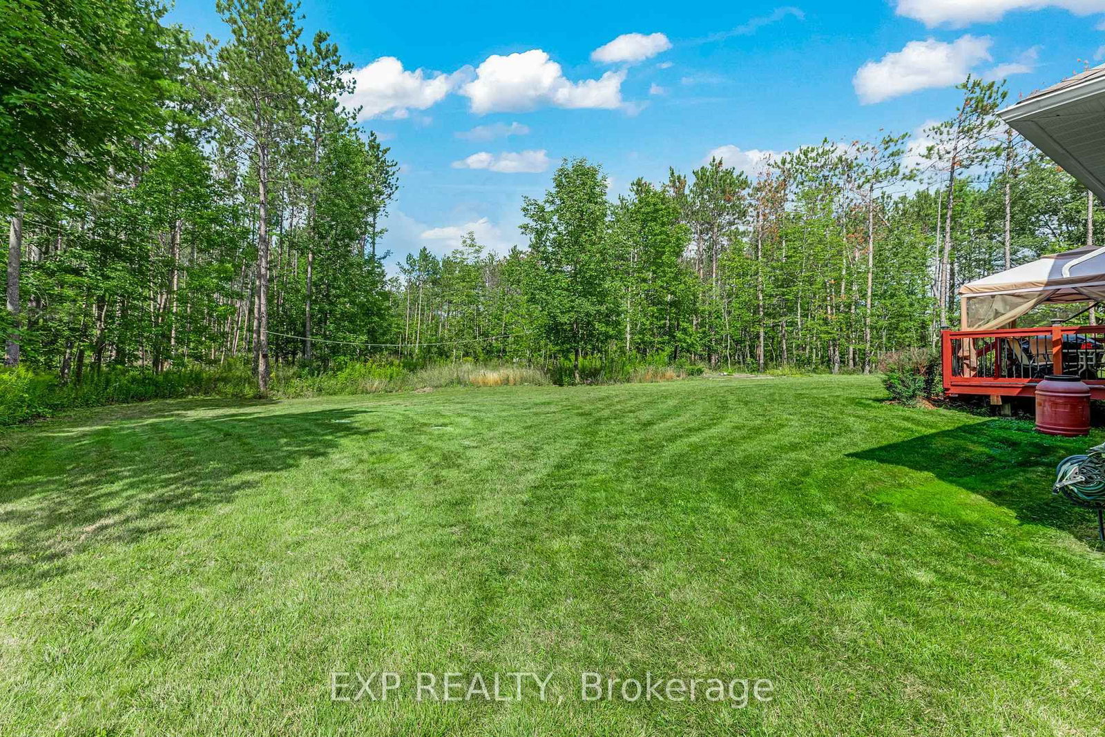 6608 Highway 28 • North Kawartha, ON photo 35