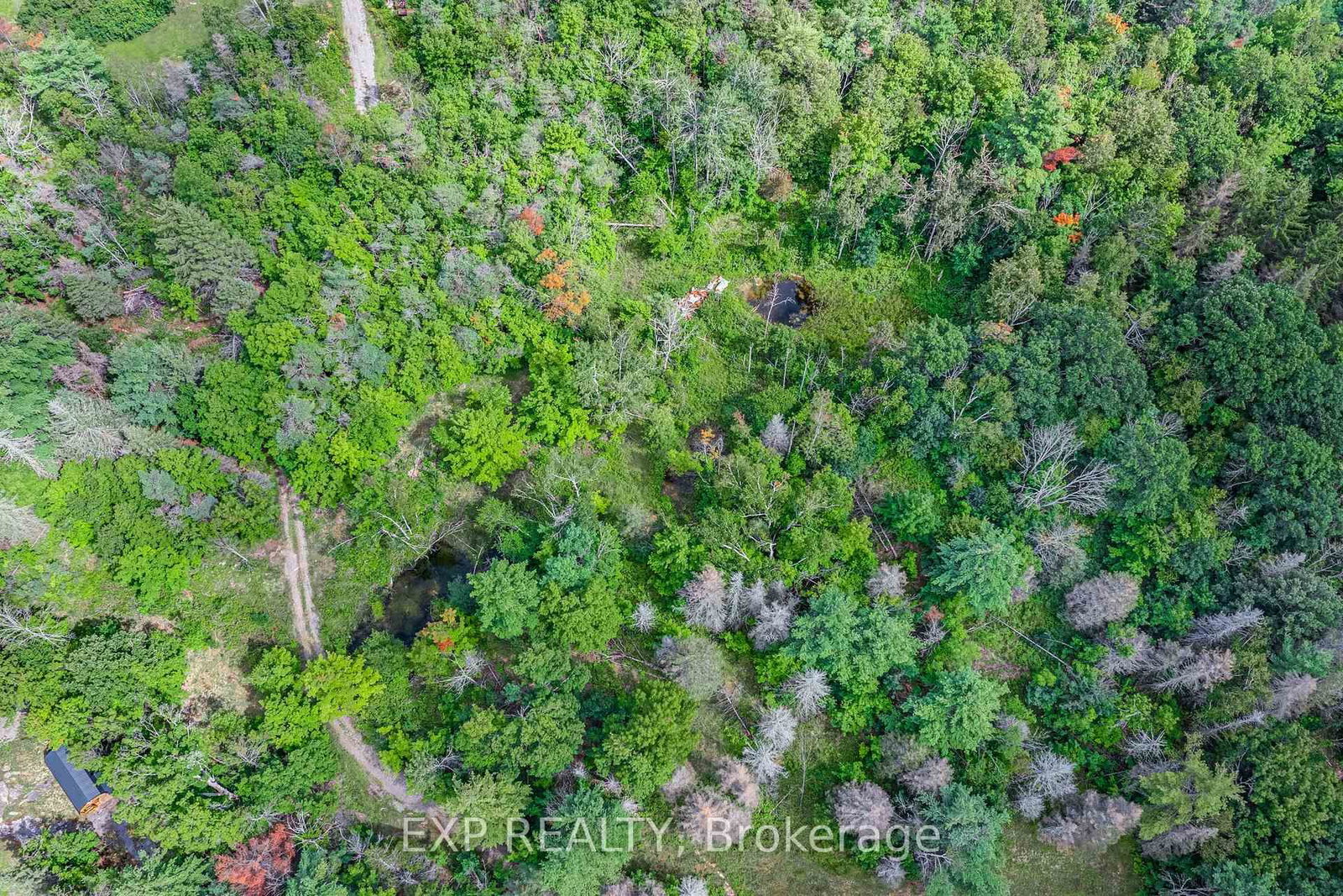 6608 Highway 28 • North Kawartha, ON photo 44