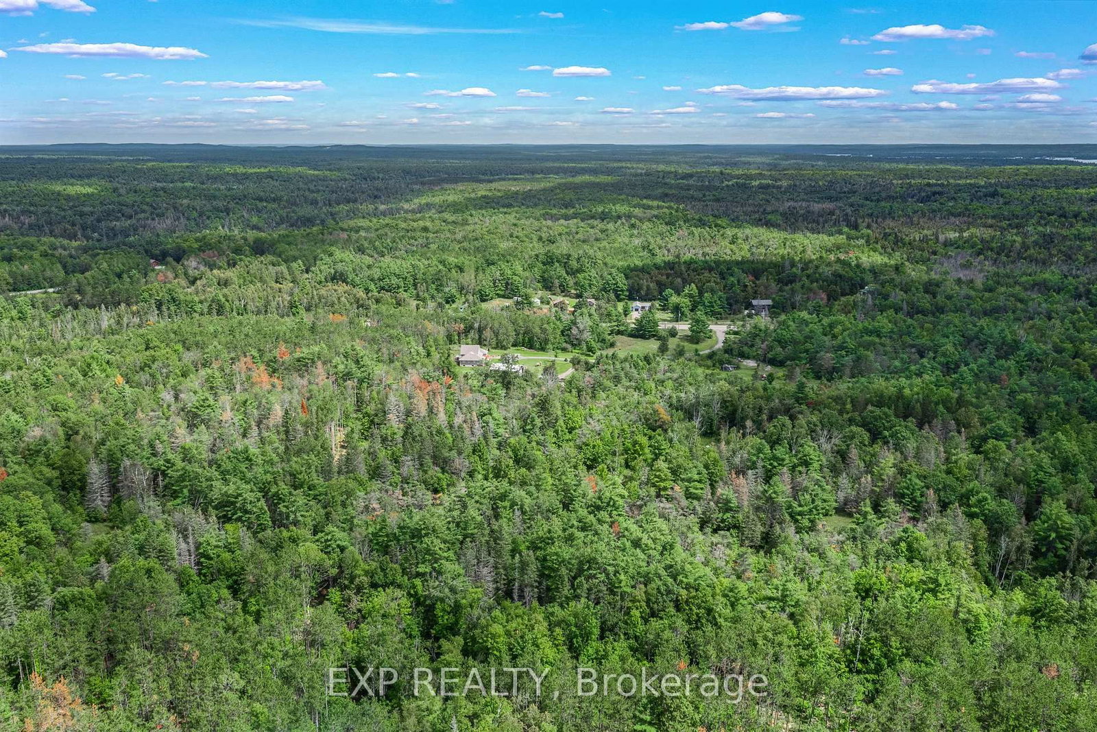 6608 Highway 28 • North Kawartha, ON photo 46
