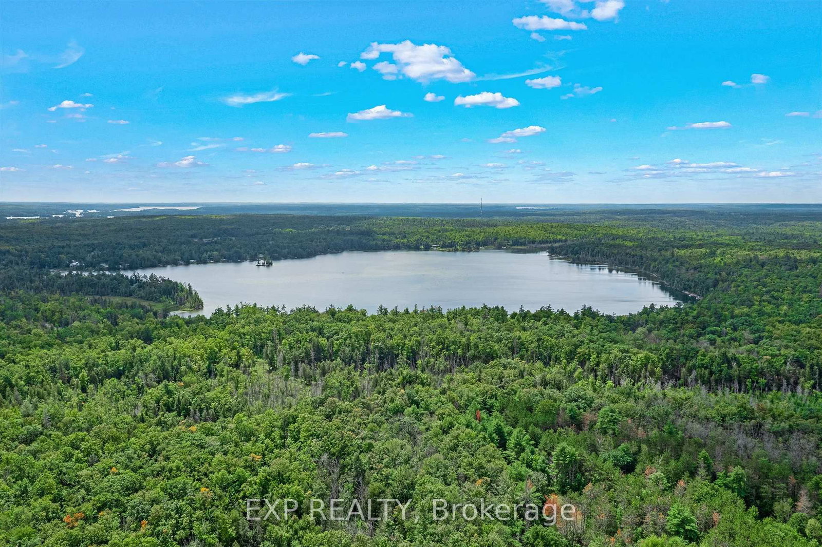 6608 Highway 28 • North Kawartha, ON photo 47