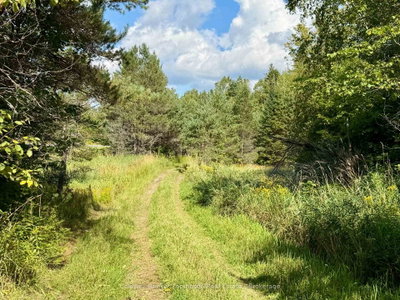 Vacant Land for sale at Lot 13 HWY 522 Highway, Parry Sound Remote Area, Ontario, P0H 1S0 - Wilson - MLS: X13717454