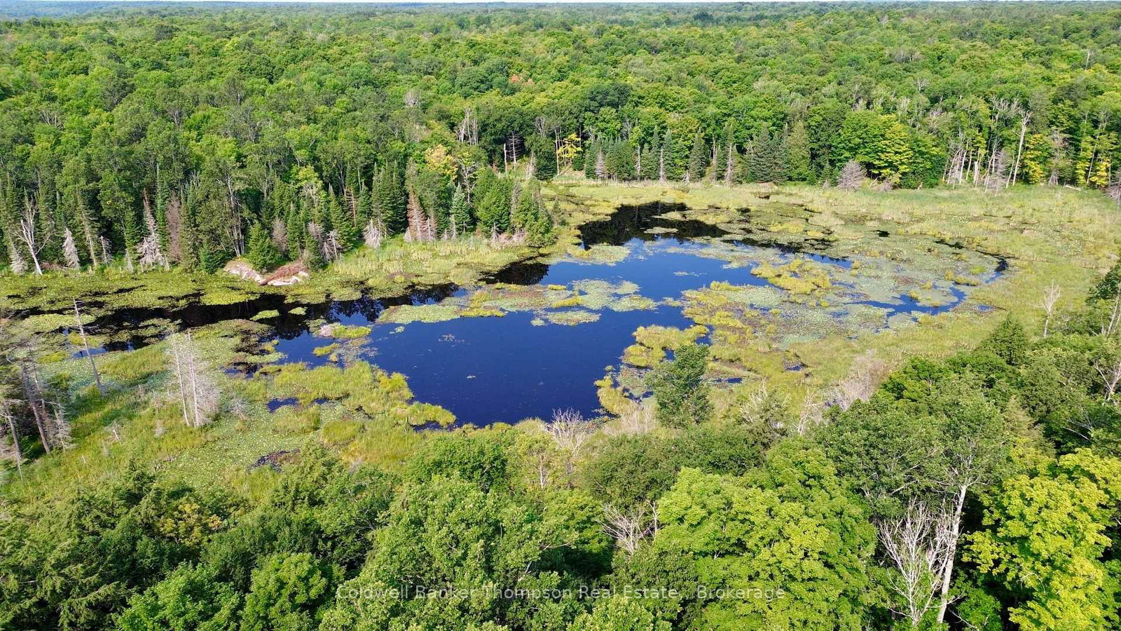 Lot 13 HWY 522 Highway W • Parry Sound Remote Area, ON photo 11