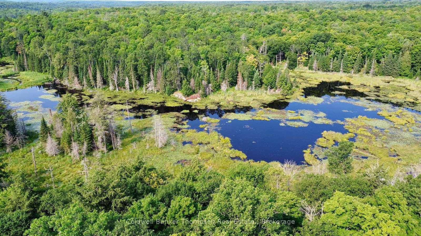 Lot 13 HWY 522 Highway W • Parry Sound Remote Area, ON photo 12