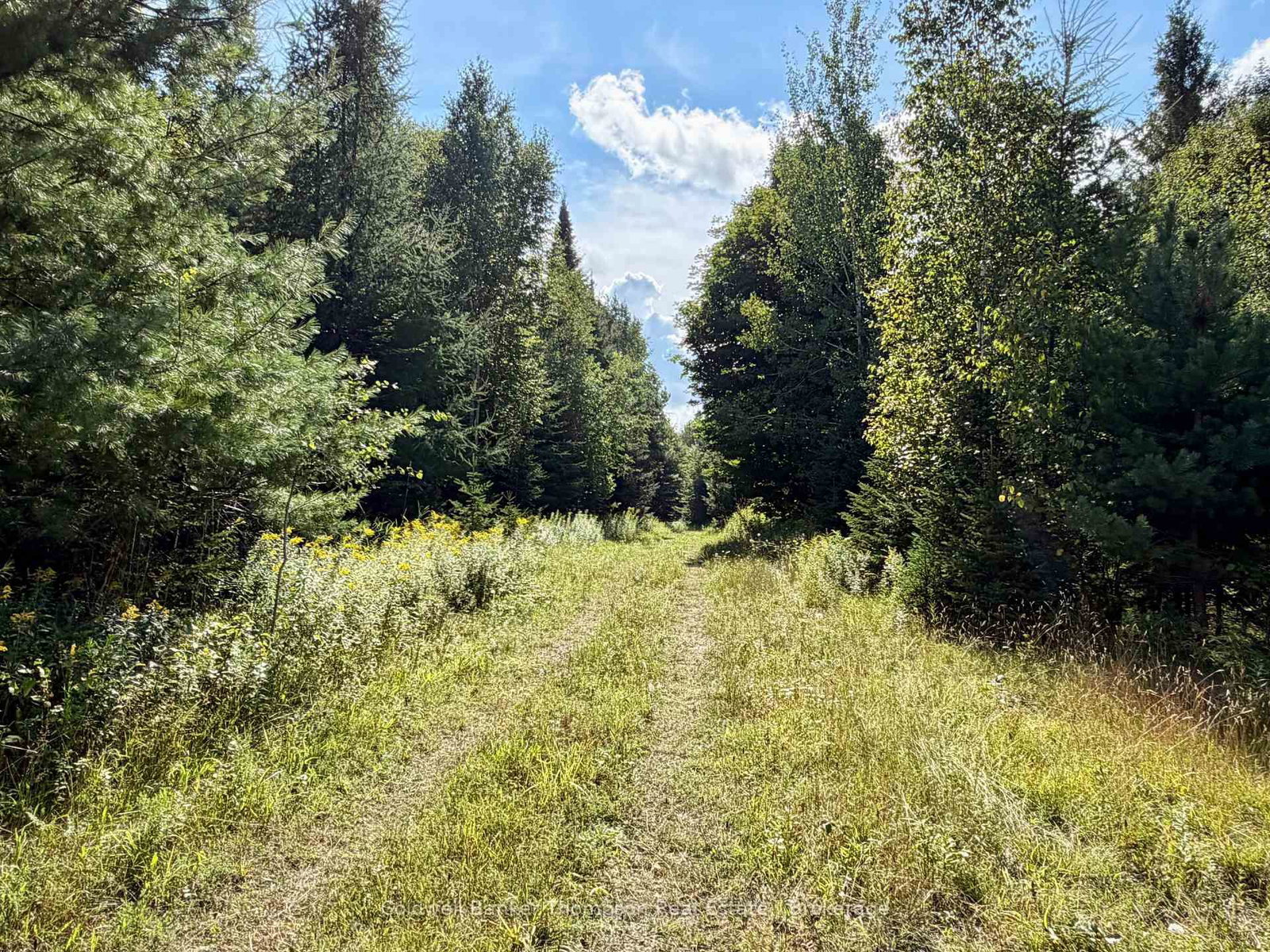 Lot 13 HWY 522 Highway W • Parry Sound Remote Area, ON photo 15