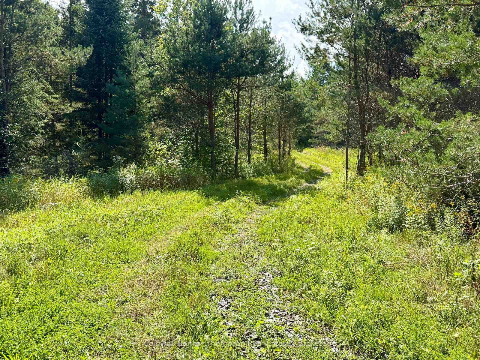 Lot 13 HWY 522 Highway W • Parry Sound Remote Area, ON photo 16