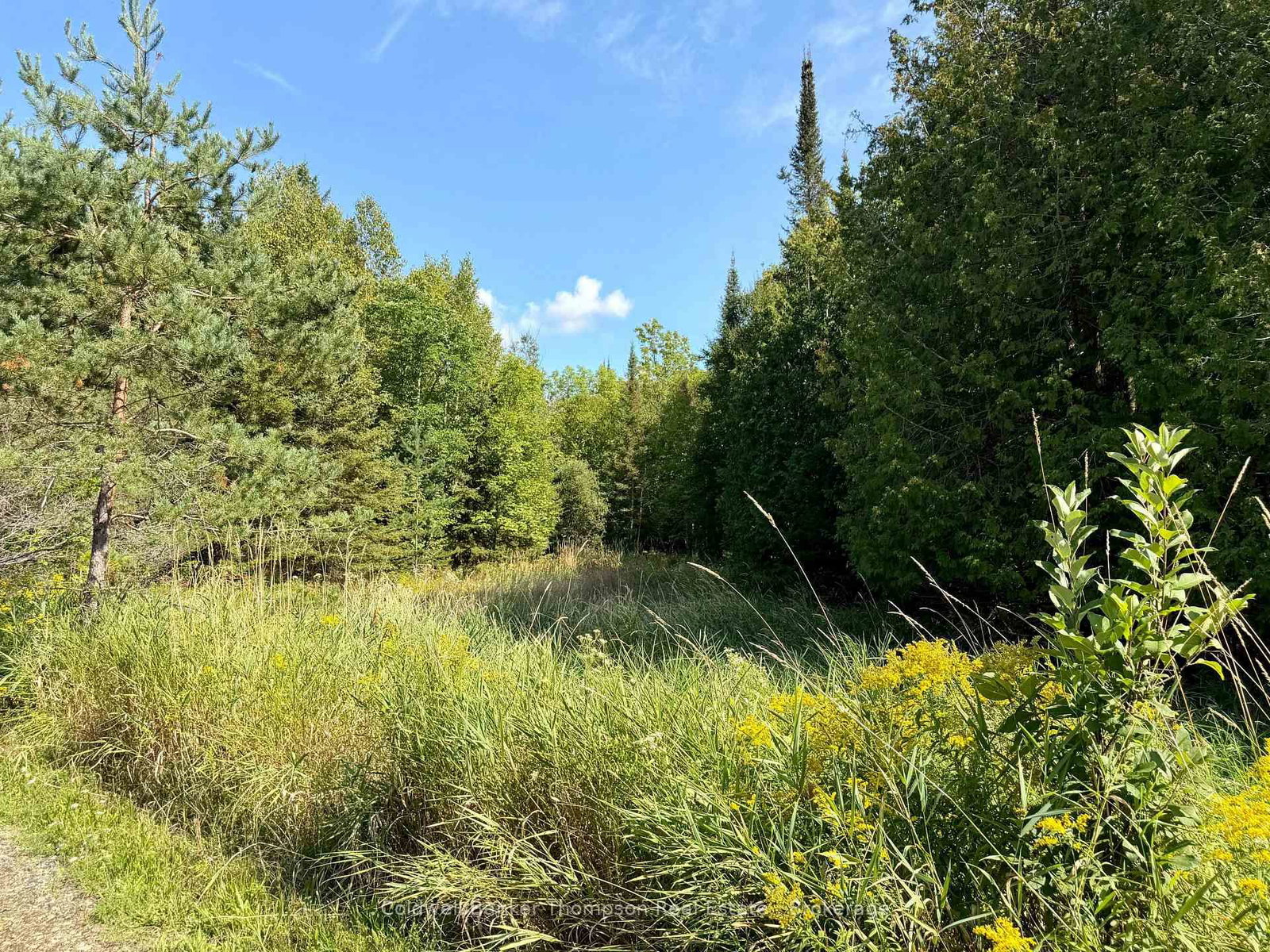 Lot 13 HWY 522 Highway W • Parry Sound Remote Area, ON photo 17