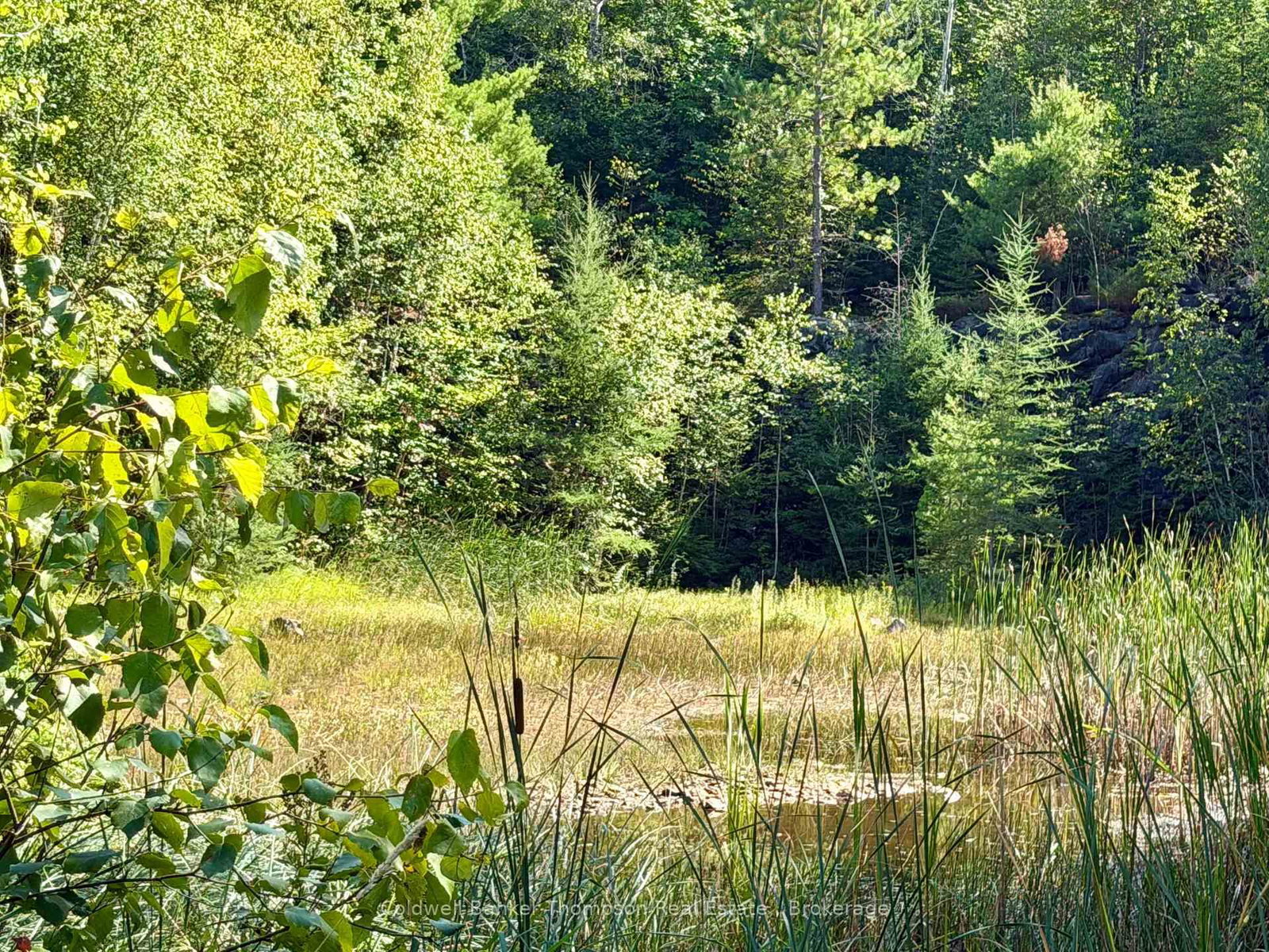 Lot 13 HWY 522 Highway W • Parry Sound Remote Area, ON photo 4