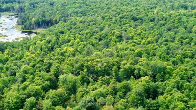 Lot 13 HWY 522 Highway W • Parry Sound Remote Area, ON photo 6