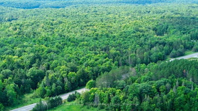 Lot 13 HWY 522 Highway W • Parry Sound Remote Area, ON photo 8