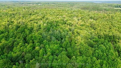 Lot 13 HWY 522 Highway W • Parry Sound Remote Area, ON photo 9