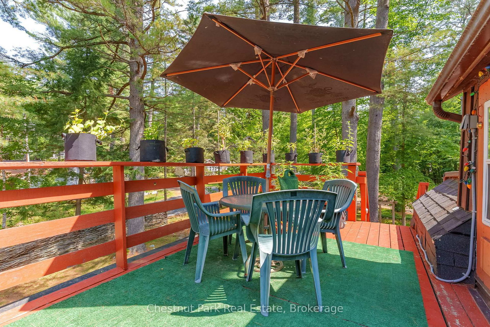 869 Muskoka Road 10 • Huntsville, ON photo 29