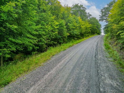 0 Spring Hill Road • McKellar, ON photo 4