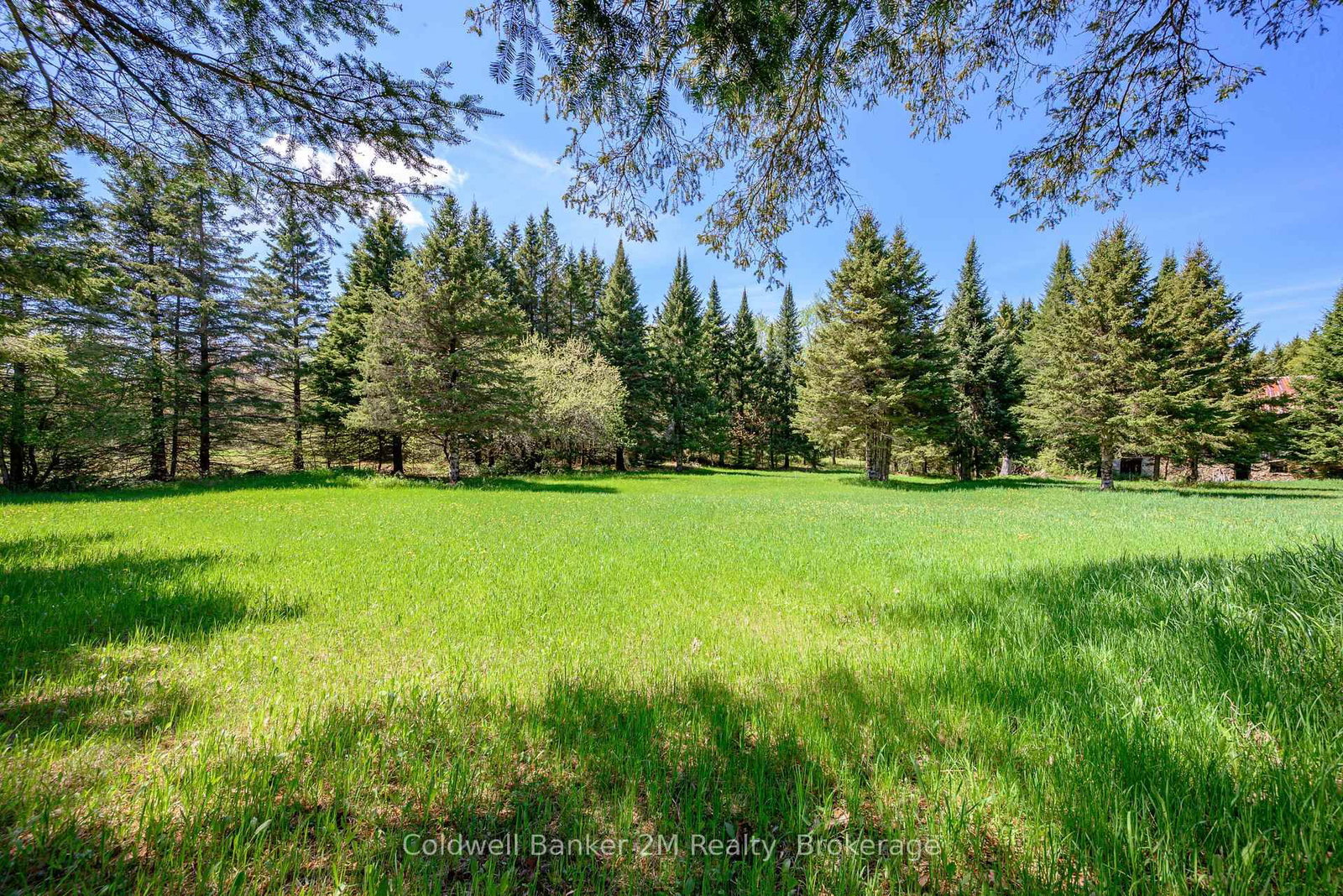 18917 Highway 118 • Highlands East, ON photo 19