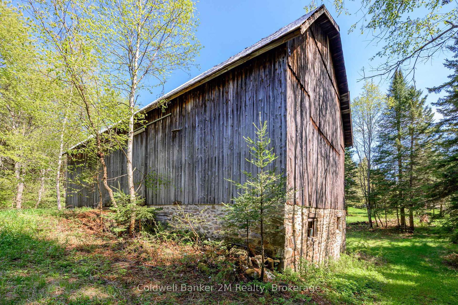 18917 Highway 118 • Highlands East, ON photo 22