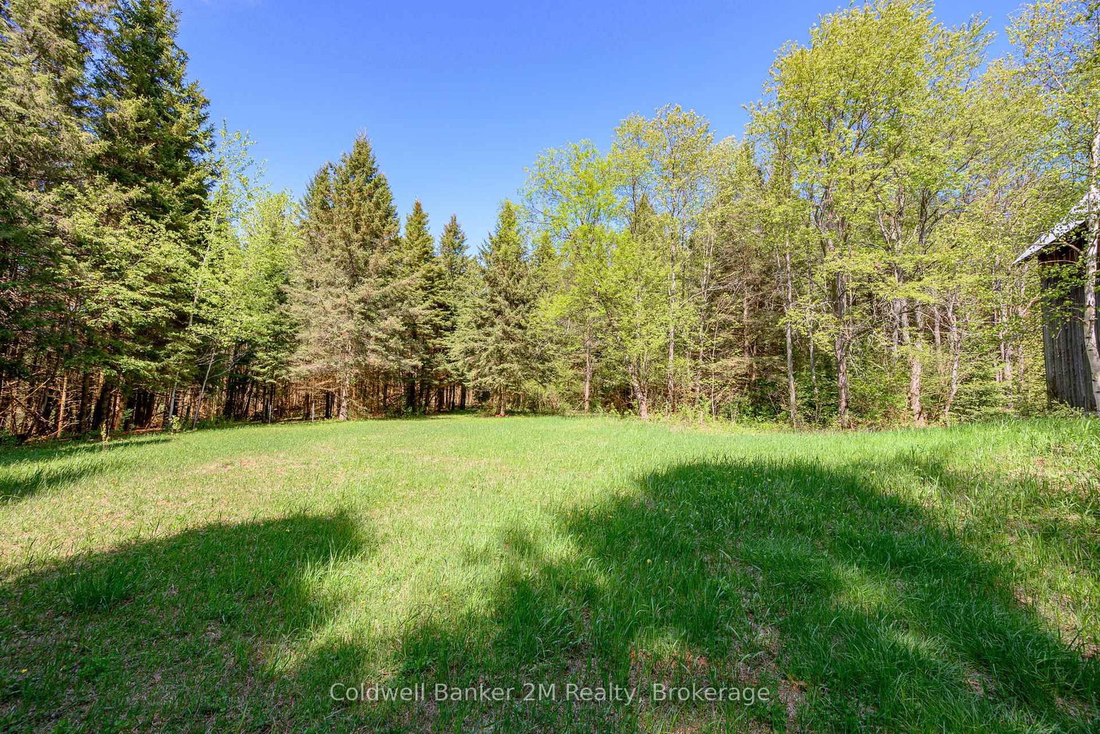 18917 Highway 118 • Highlands East, ON photo 25