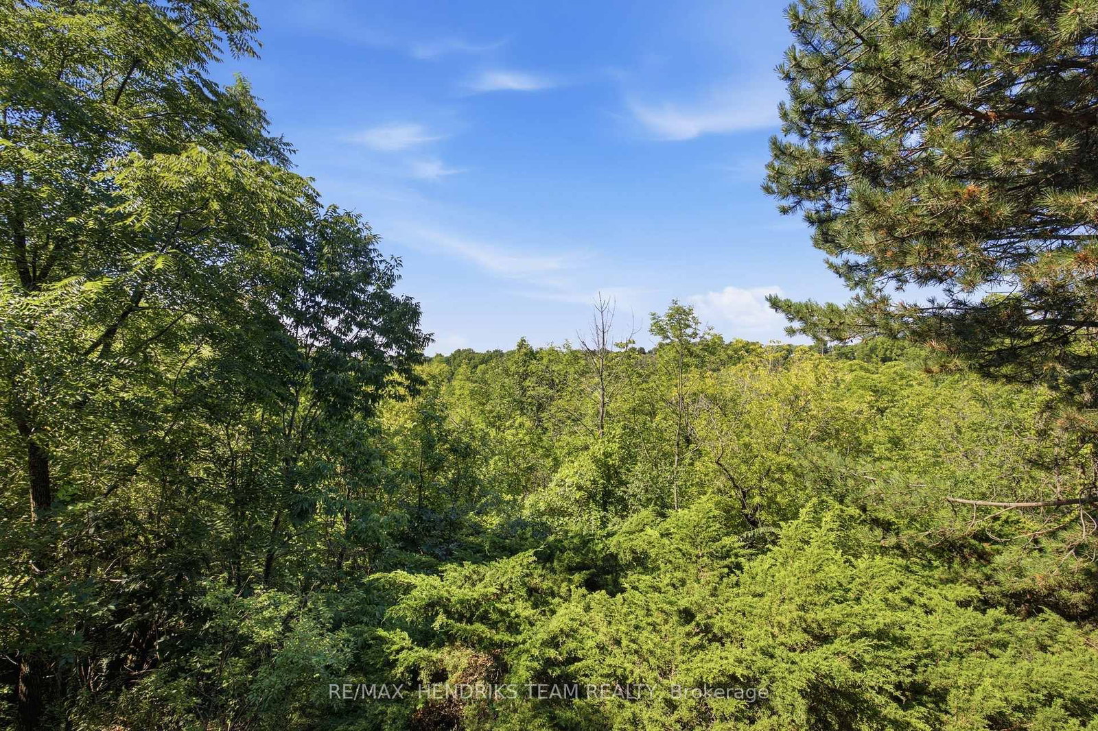 10 Vergorda Circle • St. Catharines, ON photo 47