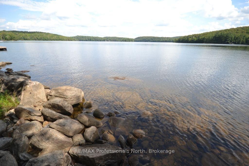 TBD Spruce Lake Trail • Dysart et al, ON photo 1