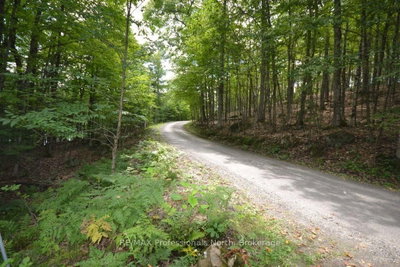 TBD Spruce Lake Trail • Dysart et al, ON photo 3