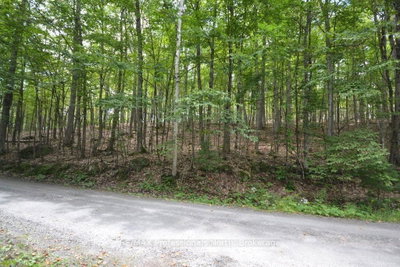 TBD Spruce Lake Trail • Dysart et al, ON photo 4
