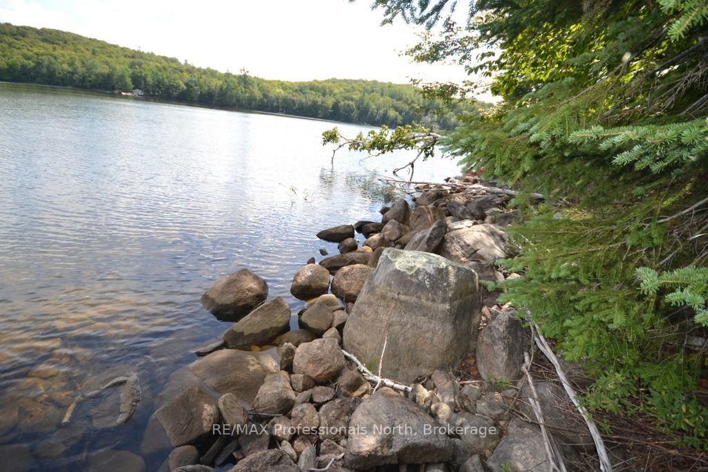 TBD Spruce Lake Trail • Dysart et al, ON photo 9