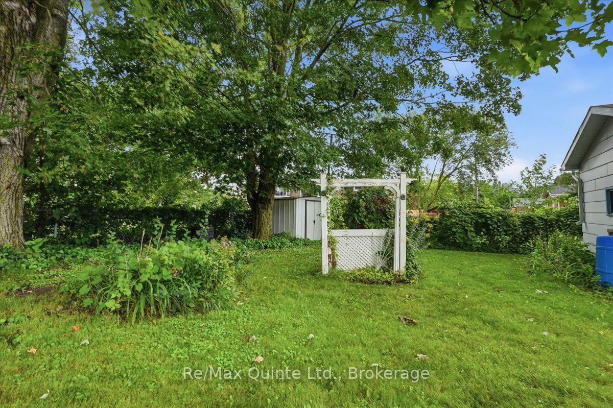5 Simeon Street • Prince Edward County, ON photo 32