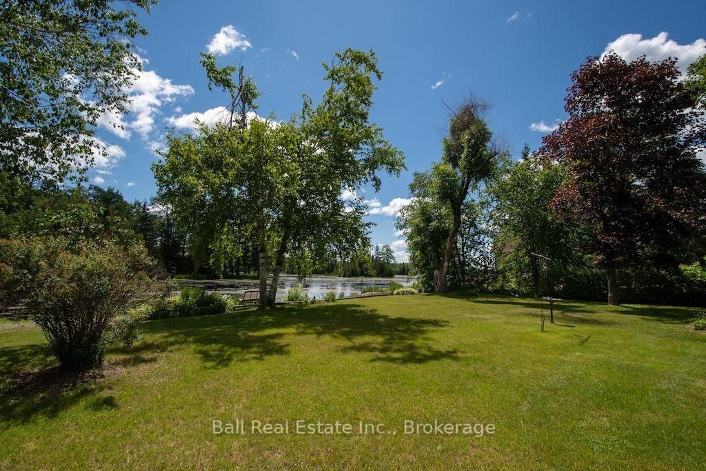 2137 Chipmunk Road • Douro-Dummer, ON photo 41