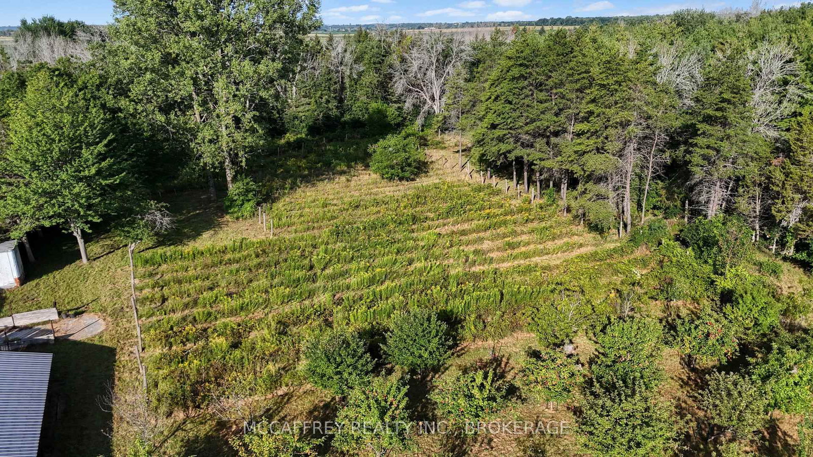 4563 County Rd 9 • Napanee, ON photo 46