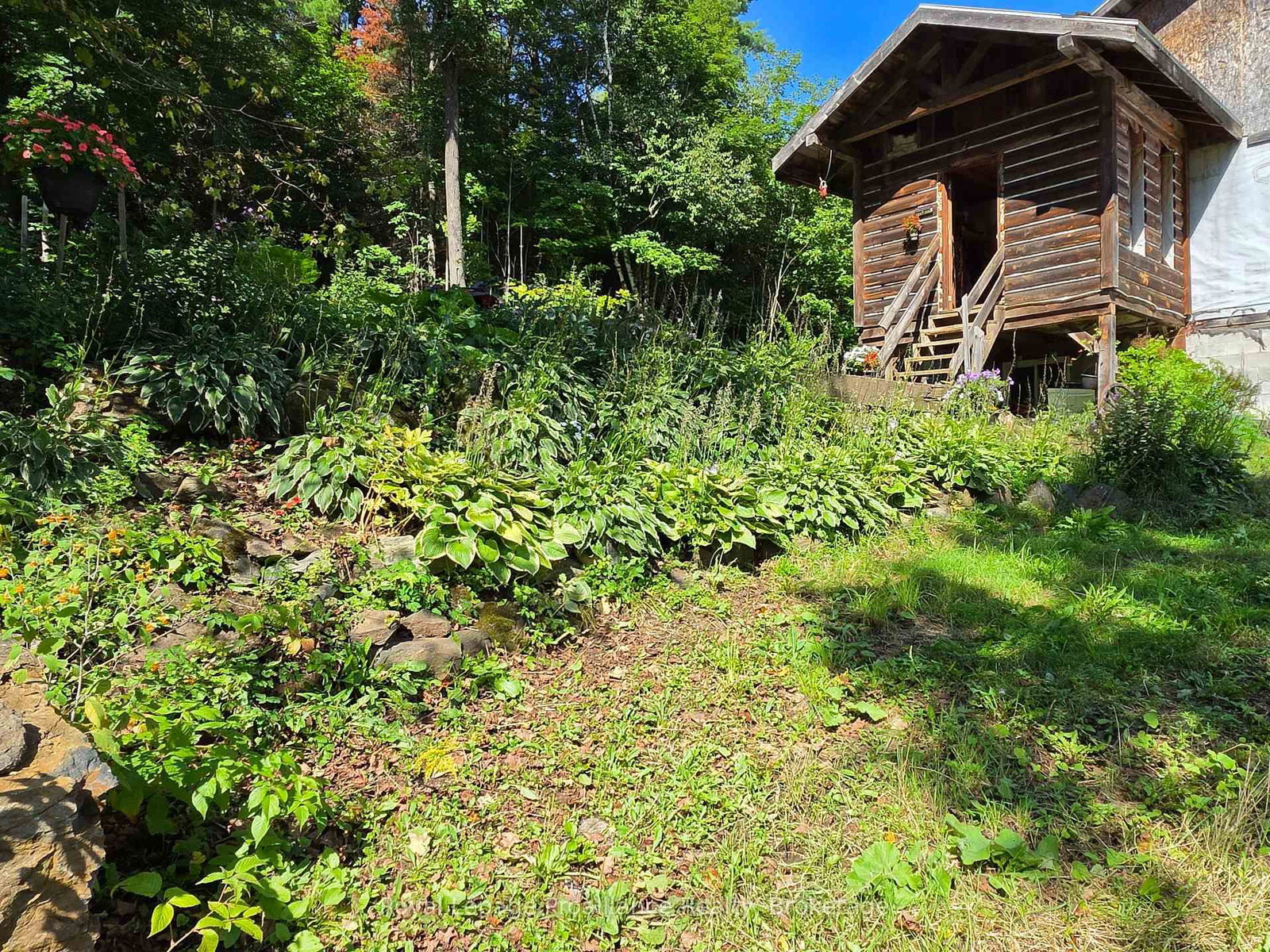 152 Addington Rd 3 • Cloyne, ON photo 34