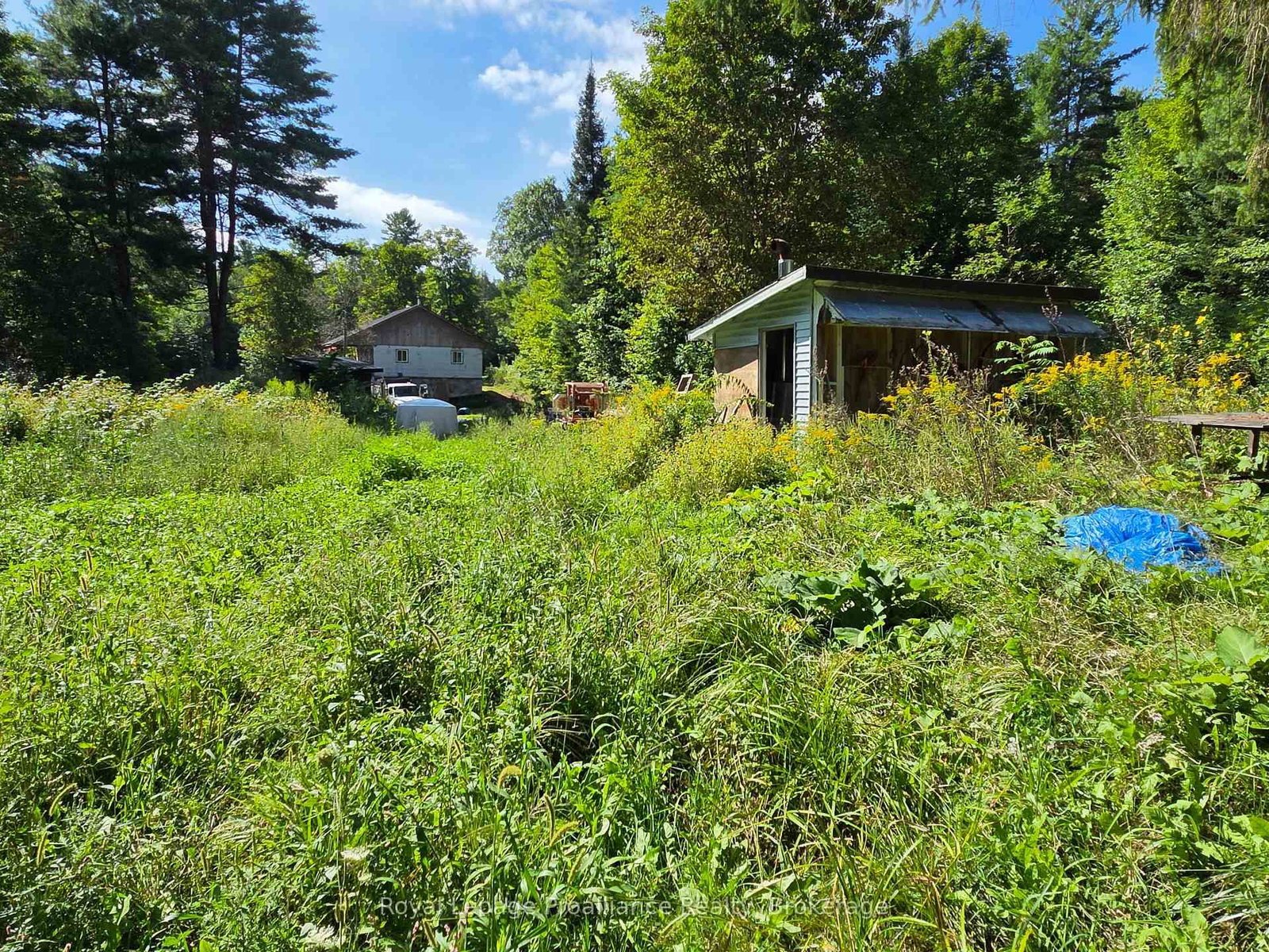 152 Addington Rd 3 • Cloyne, ON photo 38