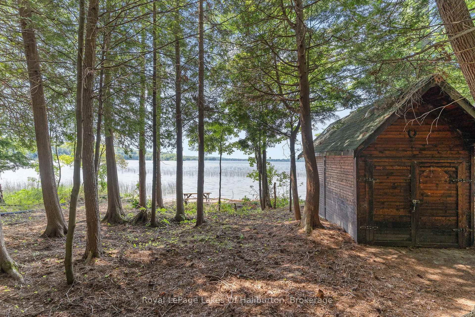 1046 Placid Lane • Algonquin Highlands, ON photo 11