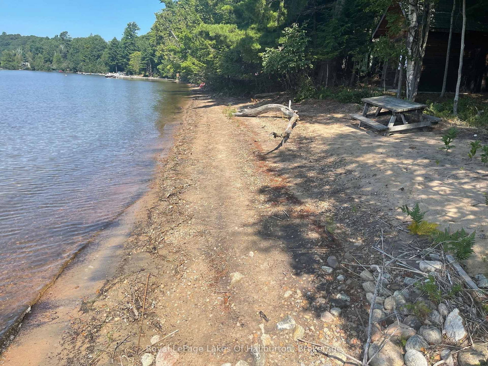 1046 Placid Lane • Algonquin Highlands, ON photo 18