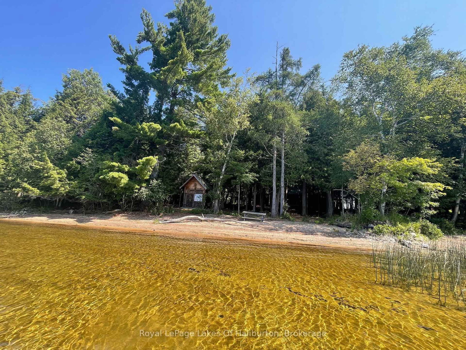 1046 Placid Lane • Algonquin Highlands, ON photo 2
