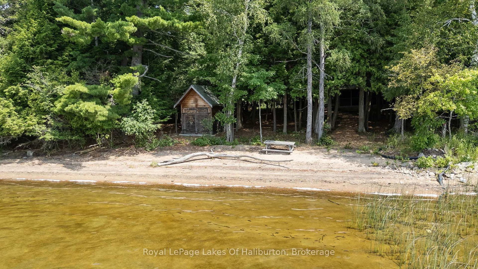 1046 Placid Lane • Algonquin Highlands, ON photo 8