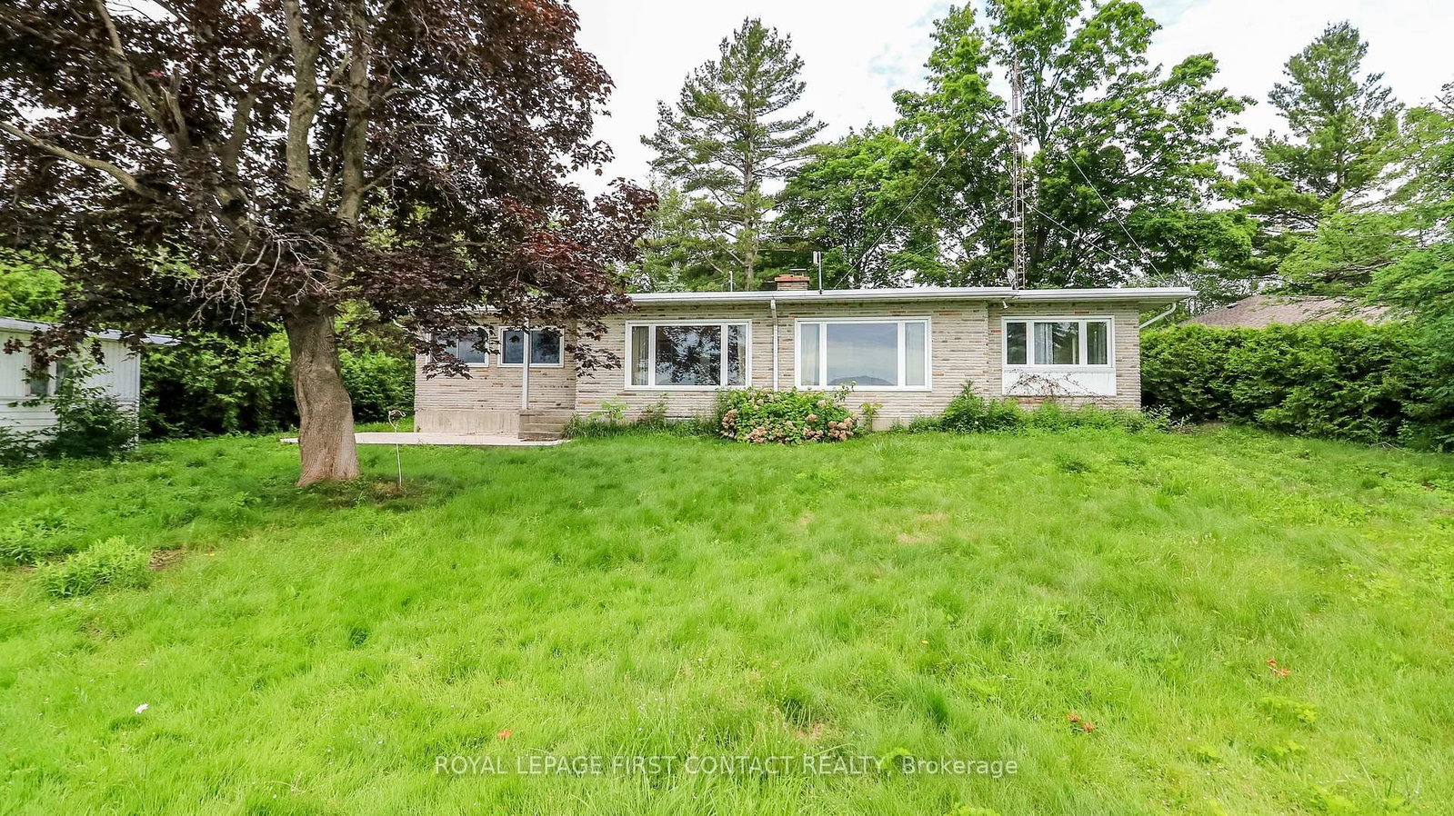 21 Glassford Road • Kawartha Lakes, ON photo 17