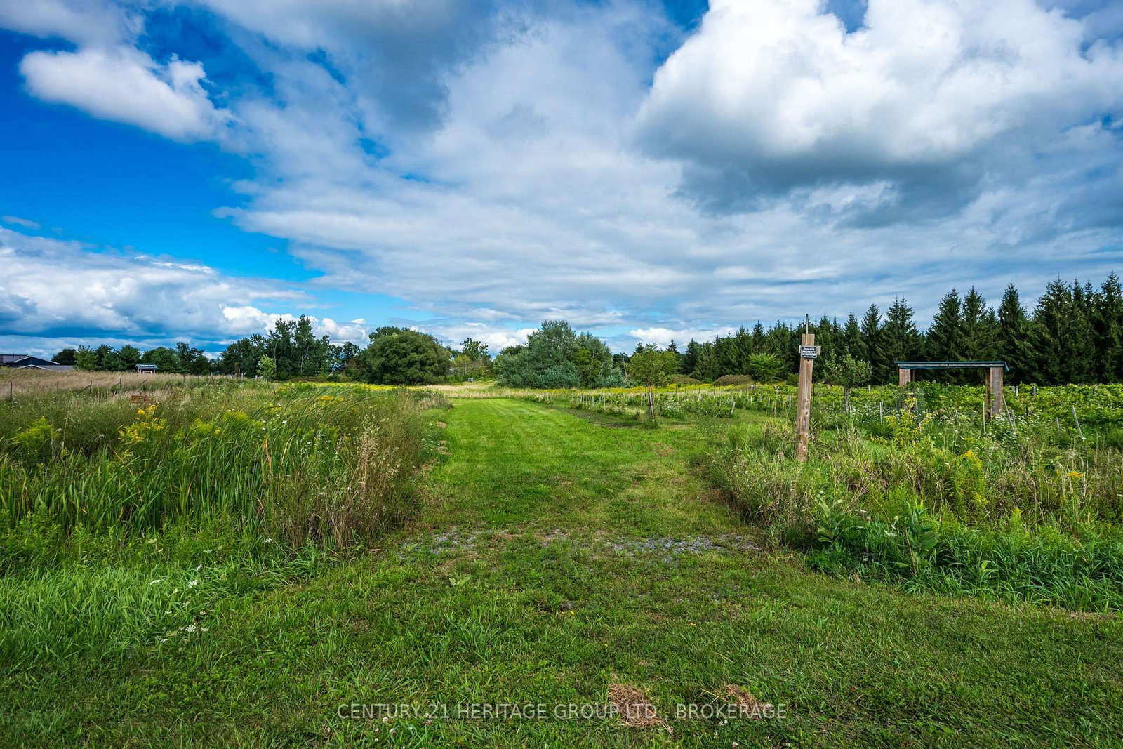 7 HUNT CLUB Lane • Wolfe Island, ON photo 11