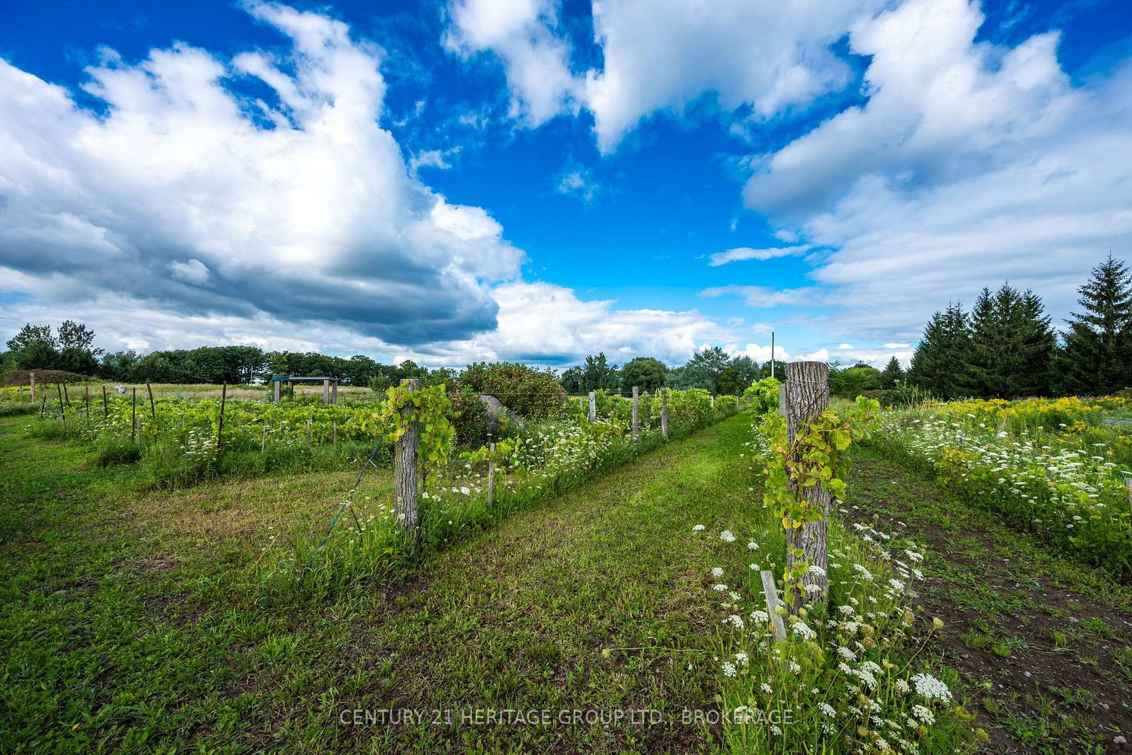 7 HUNT CLUB Lane • Wolfe Island, ON photo 14