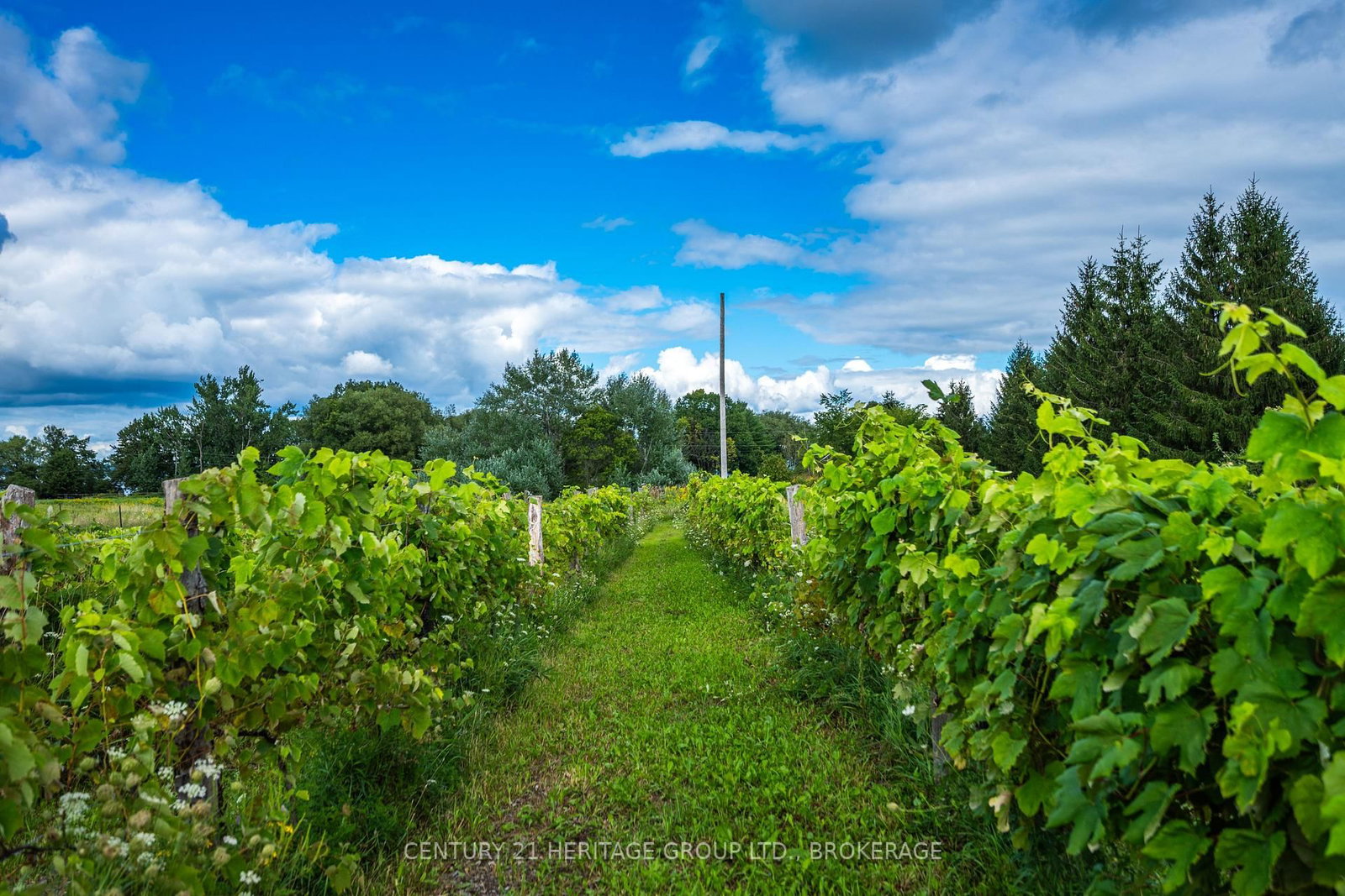 7 HUNT CLUB Lane • Wolfe Island, ON photo 16