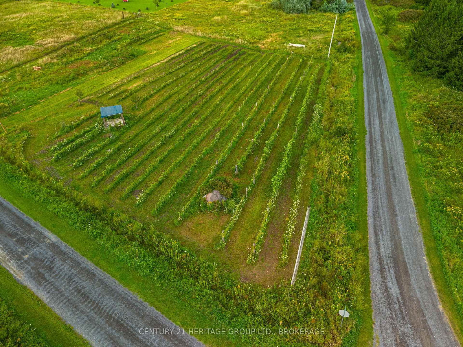 7 HUNT CLUB Lane • Wolfe Island, ON photo 3