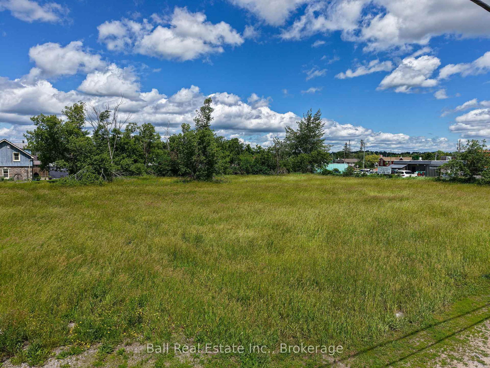 16 Veterans Way • Kawartha Lakes, ON photo 11