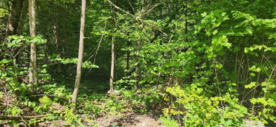 326 Wardens Road • Clayton, ON photo 4