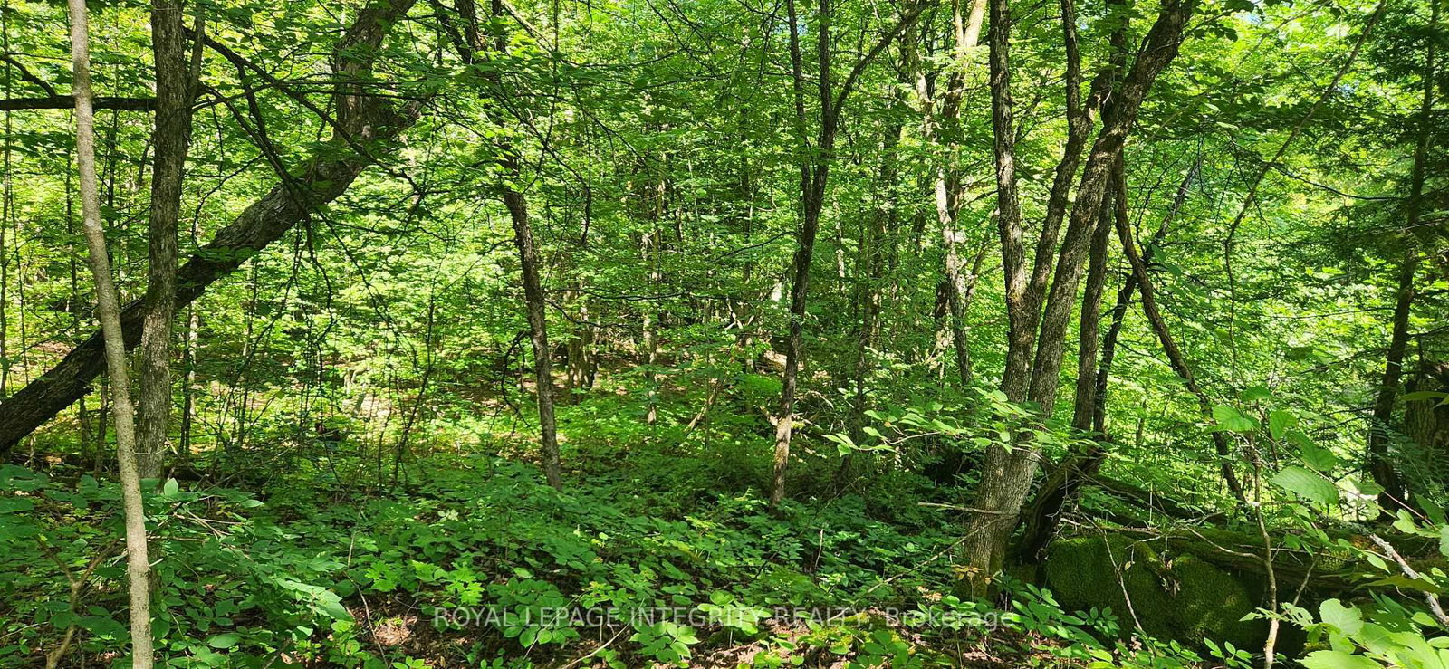 326 Wardens Road • Clayton, ON photo 5